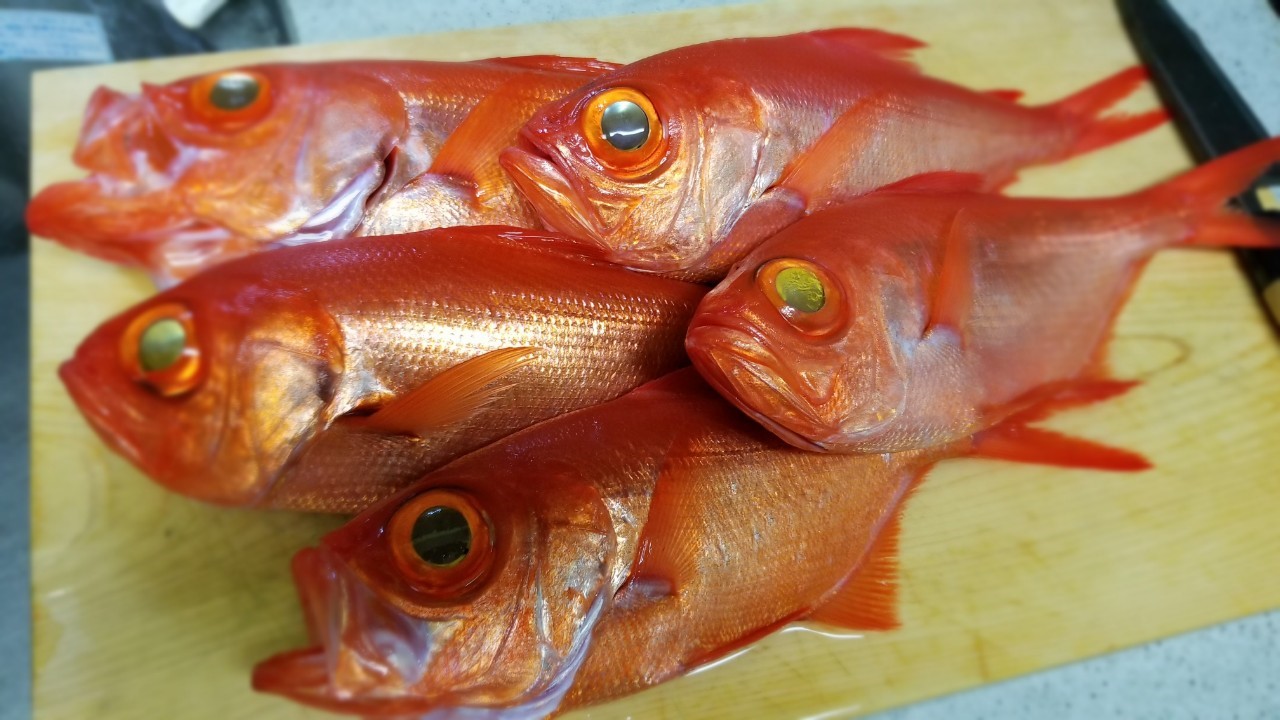 初島沖キンメダイ よしひさ丸 19 12 1 おさかなアウトドア