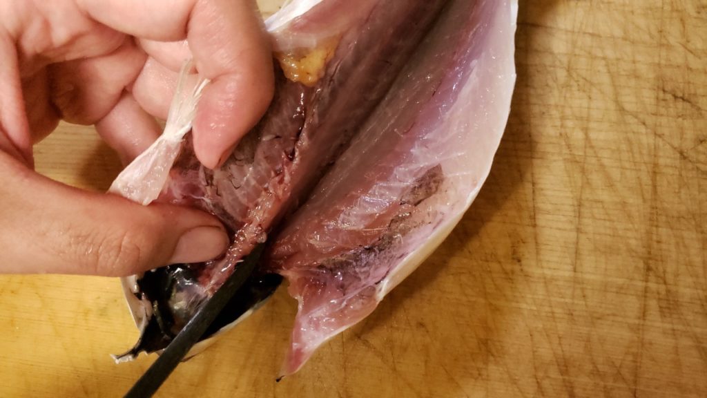 干物 一夜干し アジの捌き方のコツとポイントを詳細解説 おさかなアウトドア