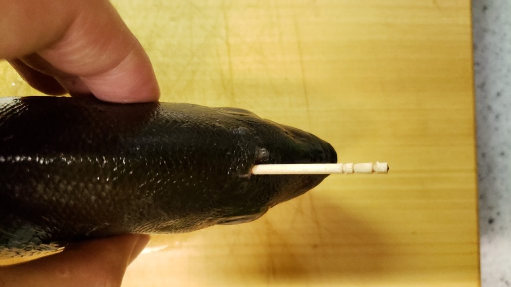 イサキの脳天締めをする時の位置と方法を写真で解説 活け締め おさかなアウトドア