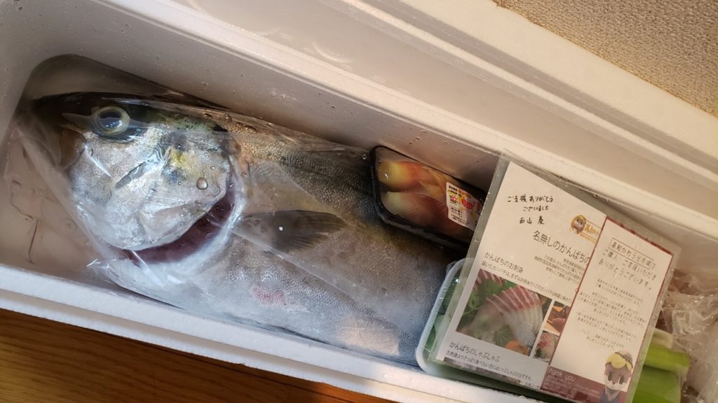 感想 高級カンパチの須崎勘八を1匹まるごと取り寄せてみた 須崎市野見湾産 おさかなアウトドア