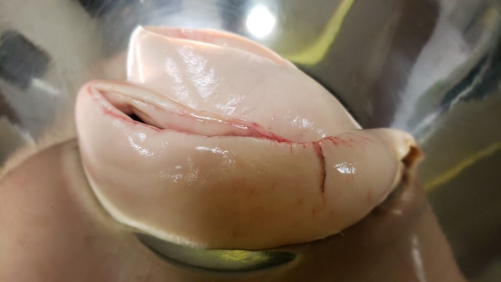 ニシンの白子を最強に美味しく食べるレシピ発見 6種の食べ方比較検証 おさかなアウトドア