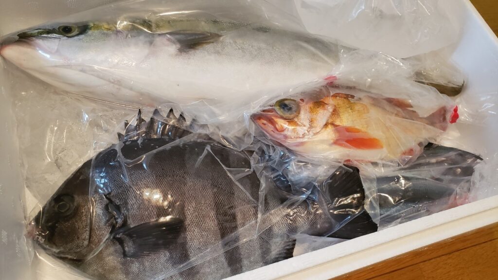 氷も魚もしっかり包装されてる！！